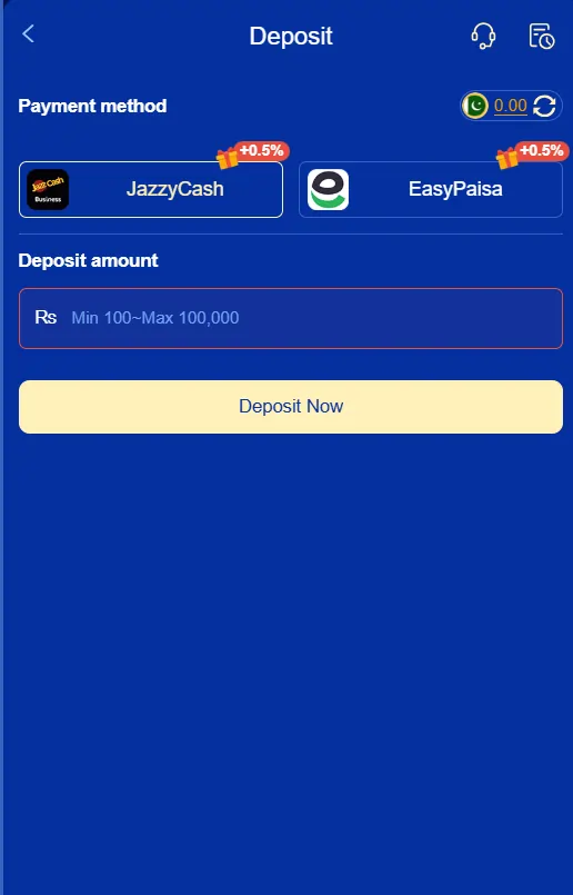 payment system details