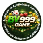 BV999 Game Play Screen