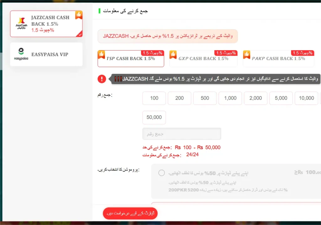 payment and withdraw options