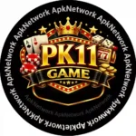 pk11 Game Screen