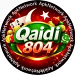 qaidi804 game logo