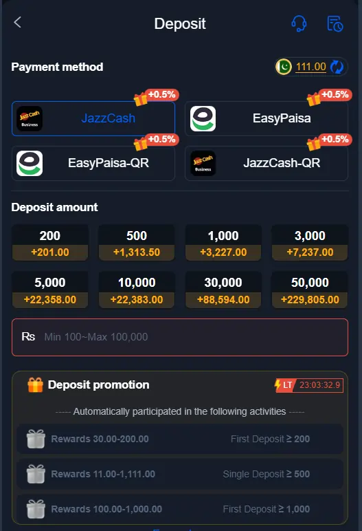 payment system details