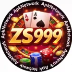 zs999 game screen view