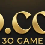 3O Game Logo