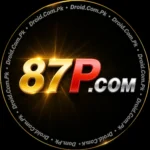 87P game