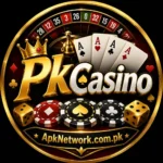 PakCasino Game Logo by Apknetwork