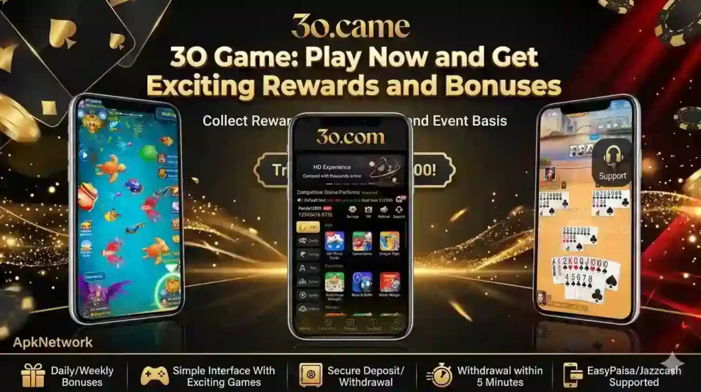 3O Game Image