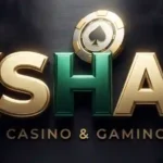 PkShaan Game Logo