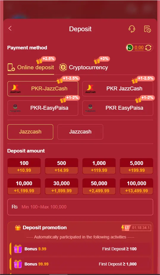 Payment and Withdrawal Options